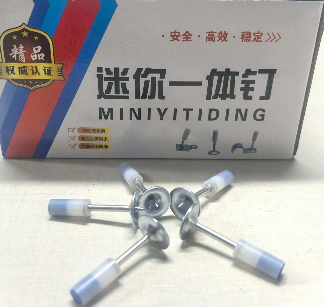Packed carton of mini integrated nails